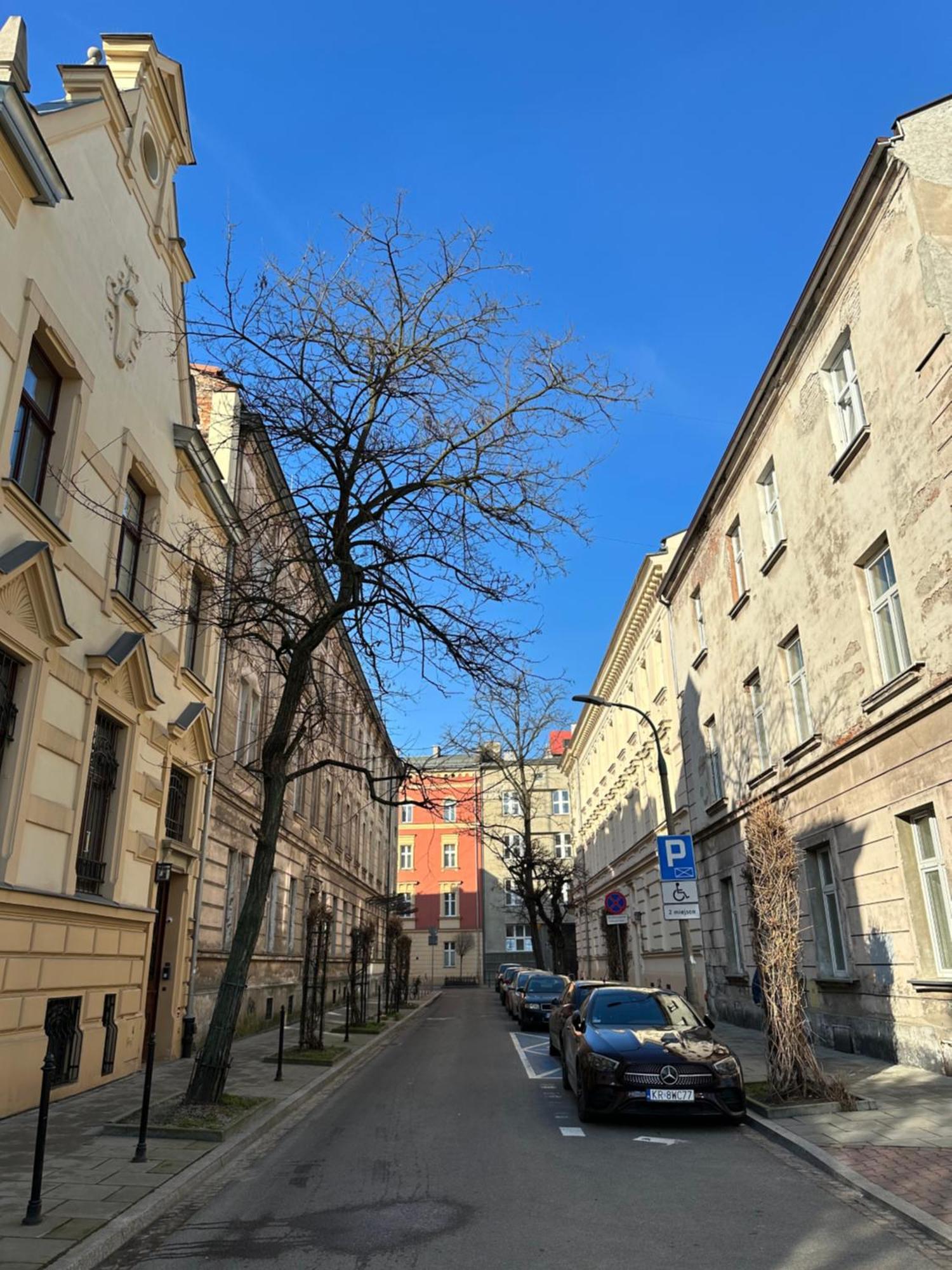 Perfect Place To Stay In Krakow City Center 36M2 W3 Exteriör bild